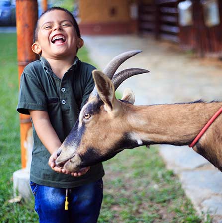 Niño con cabrito