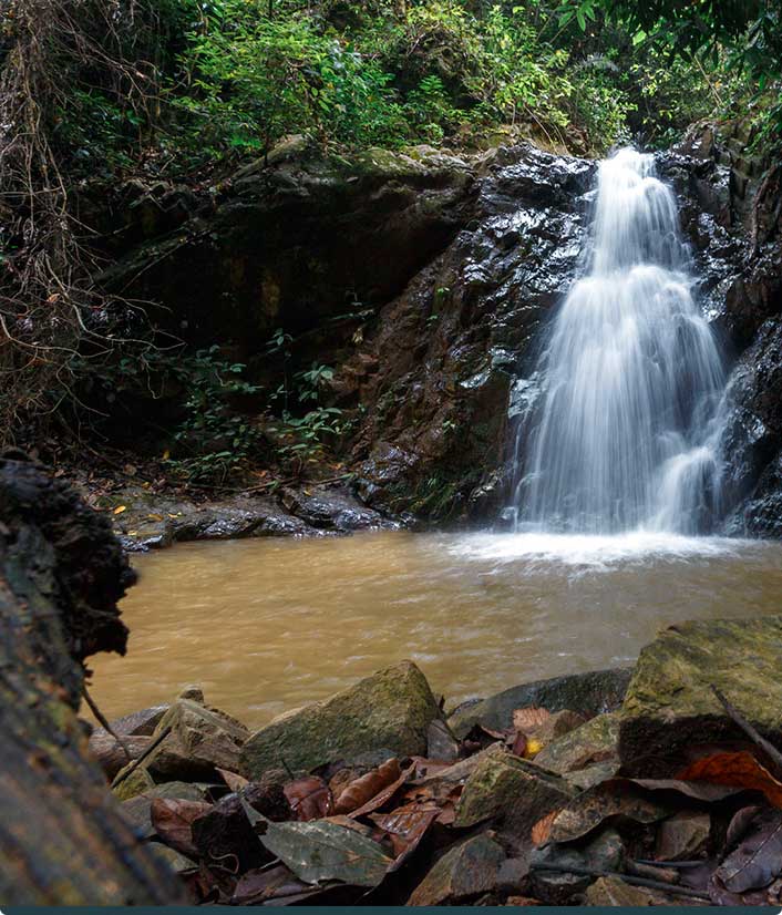Cascada